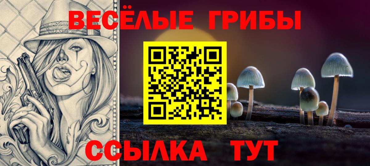 продажа наркотиков  Галлюциногенные грибы Psilocybine cubensis  Вход с VPN  Ноябрьск 